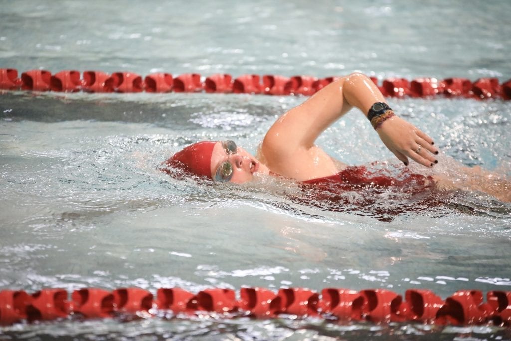 Steiner 500 Free