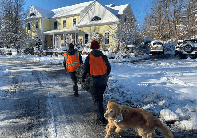 Troop 1 Collecting Christmas Tree's 